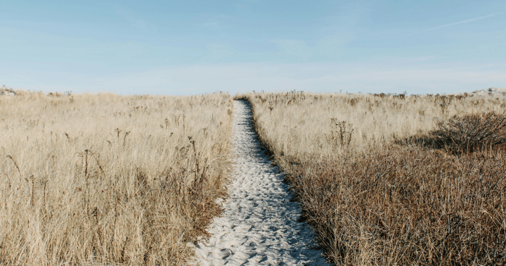 Navigating the new NIS2 requirements: What’s new and who does it apply to?